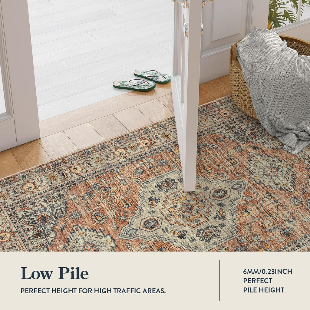 Oriental Washable Soft Area Rug