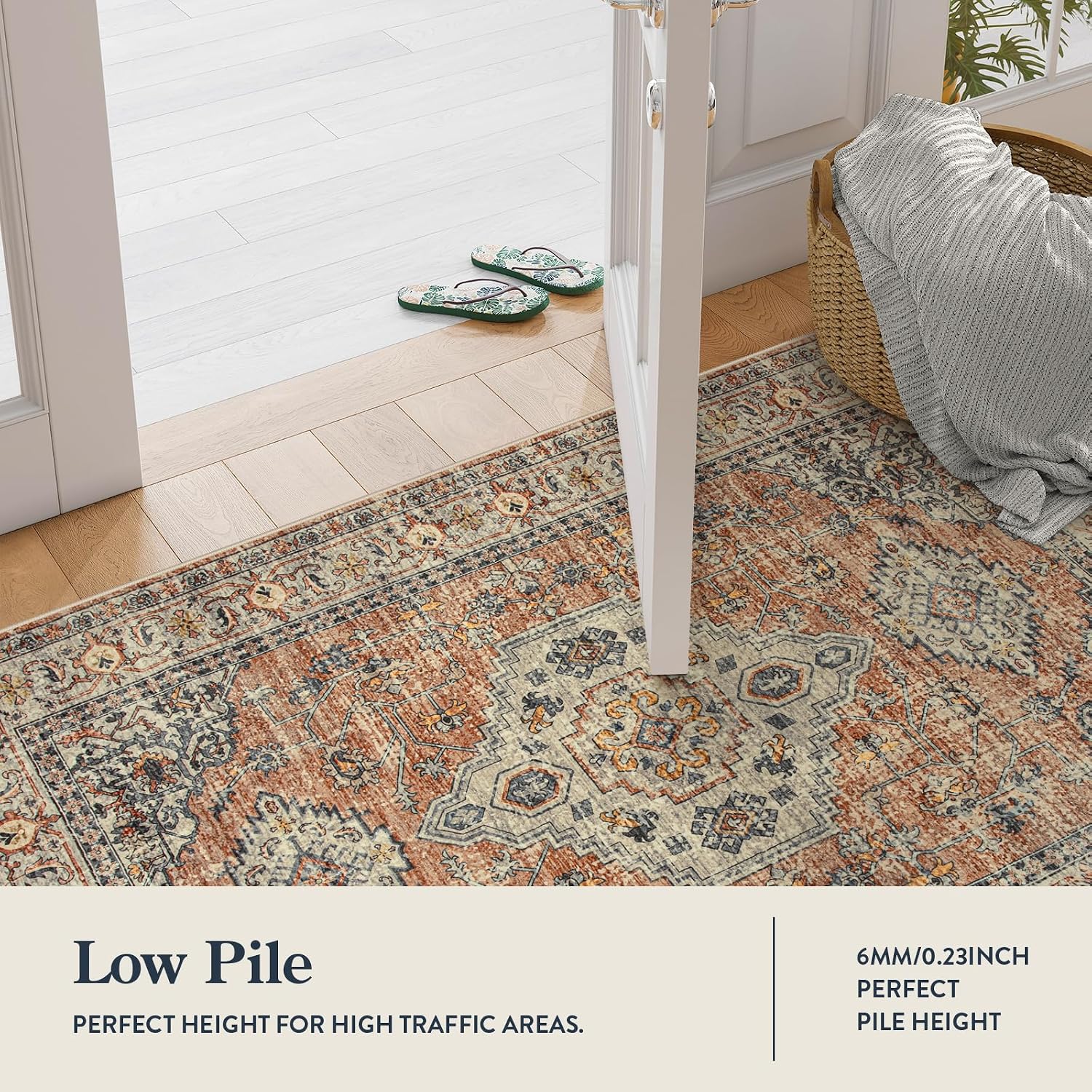 Oriental Washable Soft Area Rug